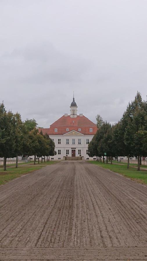 Апартаменты Fewo In Neustadt/Dosse, Der Stadt Der Pferde Leddin Экстерьер фото